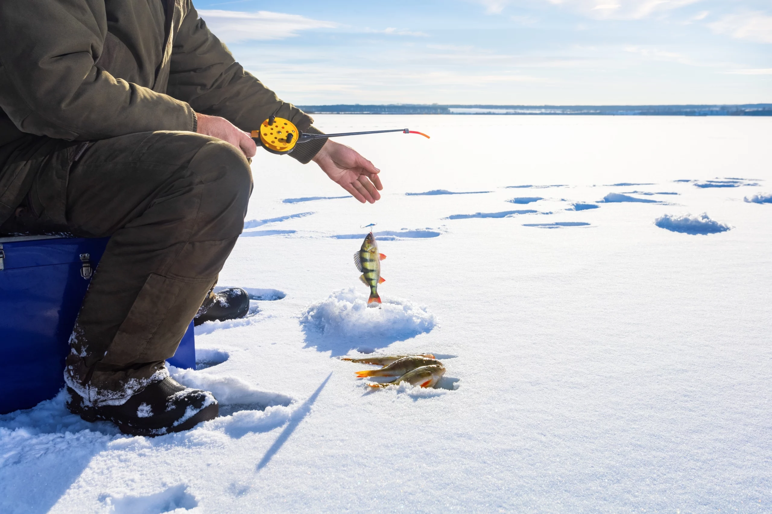 Arvidsjaur Eisfischen Mann fischt Fisch aus Eisloch