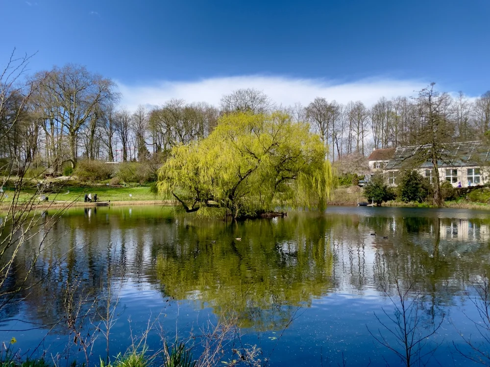 Botanischer Garten Münster.